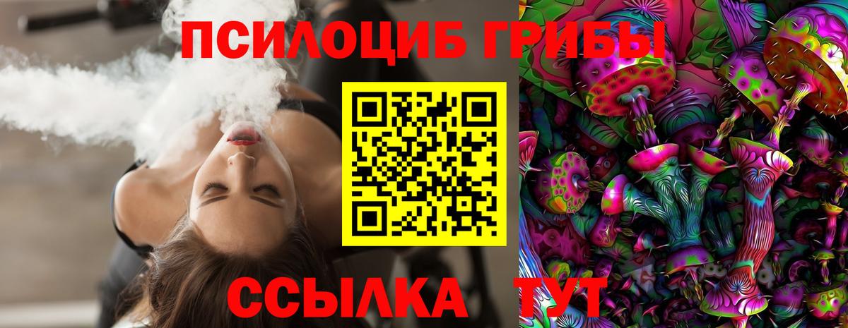 Галлюциногенные грибы Psilocybe Майский