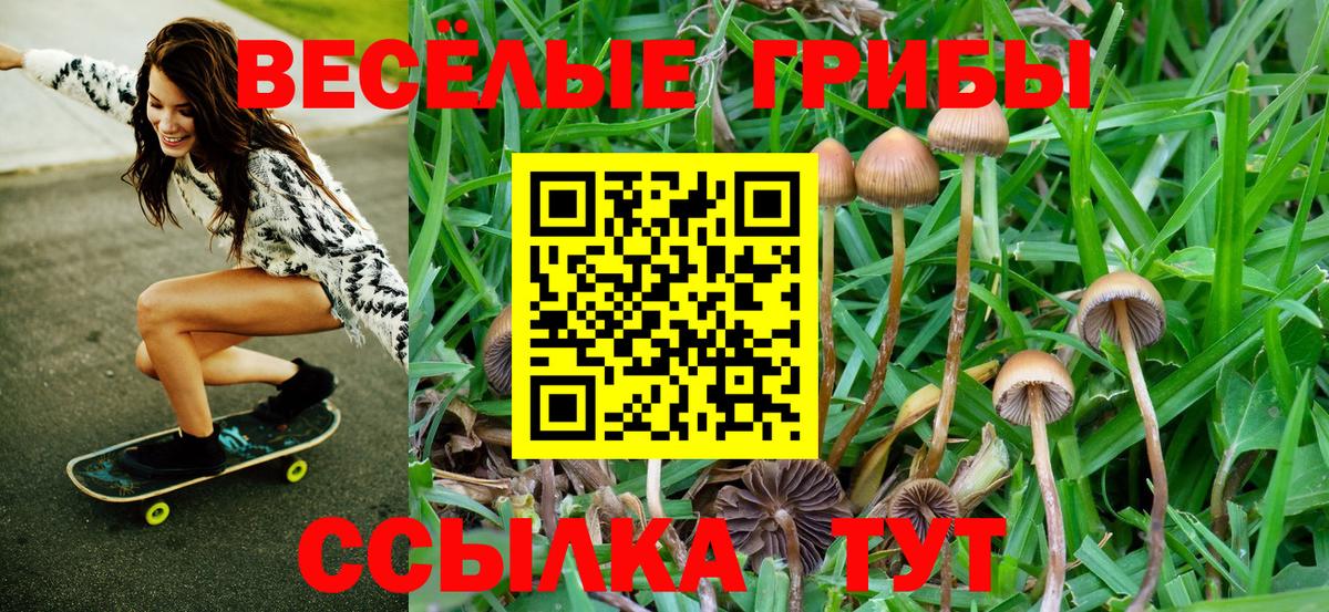 Псилоцибиновые грибы прущие грибы  Вход с VPN  Майский  Псилоцибиновые грибы Cubensis 